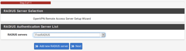 freeraduis-step-12